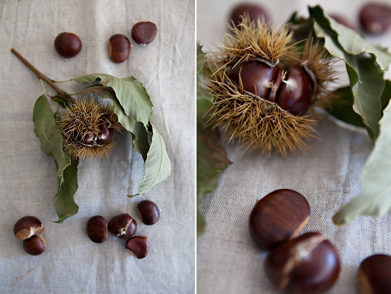 Chestnut Puree with Coconut Cream - The Minimalist Vegan