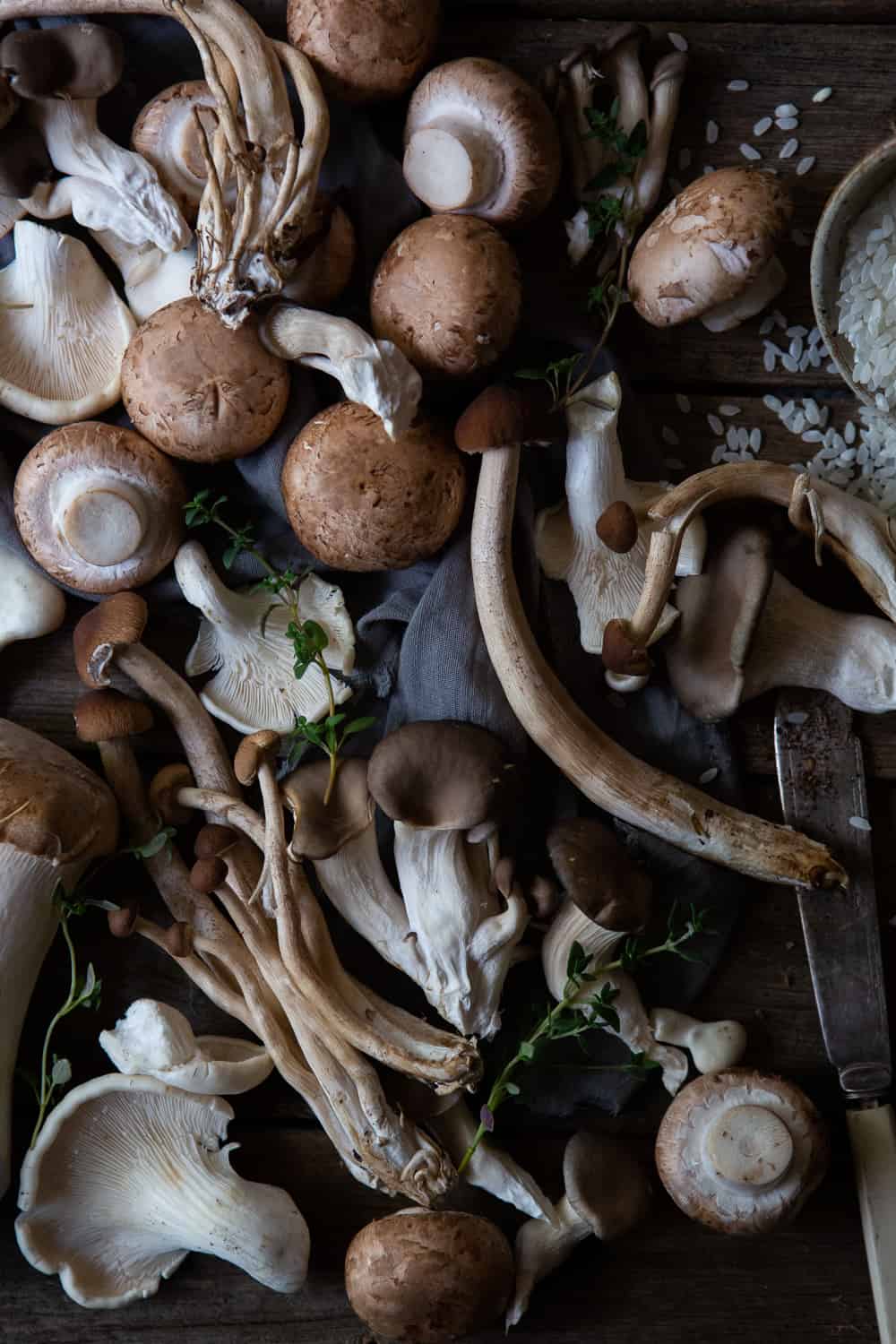 Varieties of mushrooms