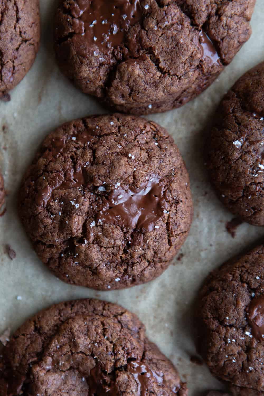Chocolate cookie close up