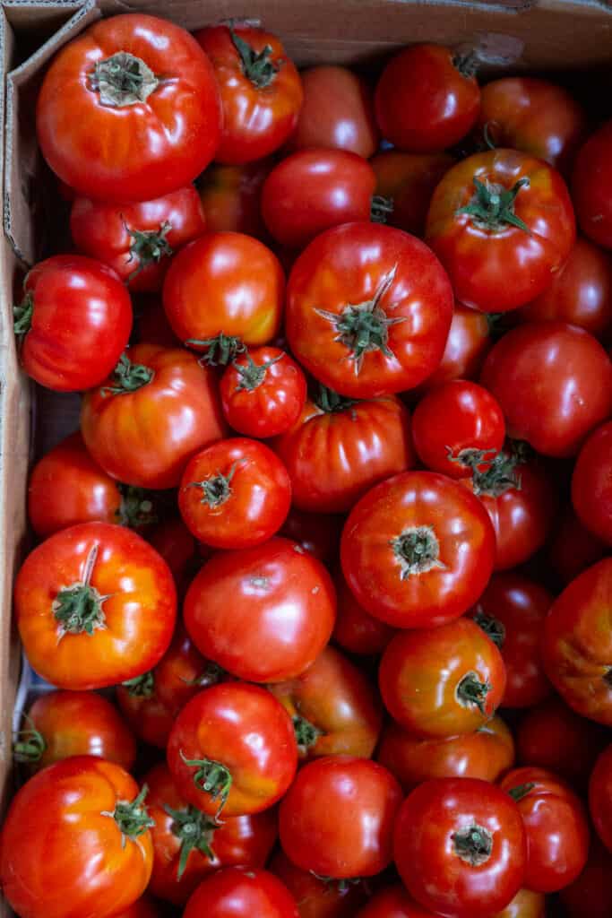 A large box of freshly picked tomatoes.