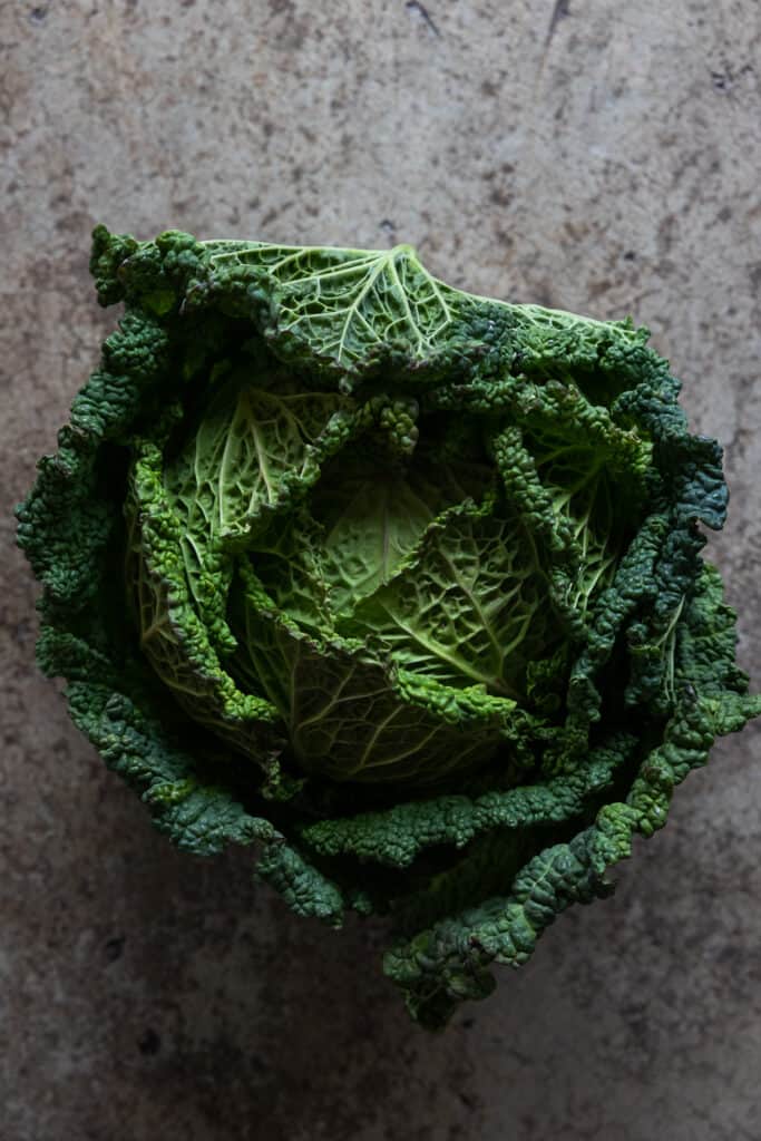 Savoy cabbage recipes. One full head of savoy cabbage.